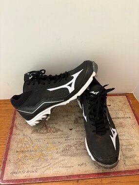 Mizuno Indoor Court / Volleyball Shoes – Men's US Size 10 – Like New